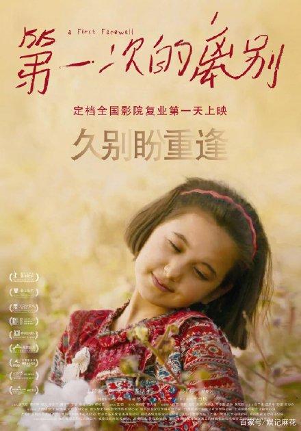 假护照制